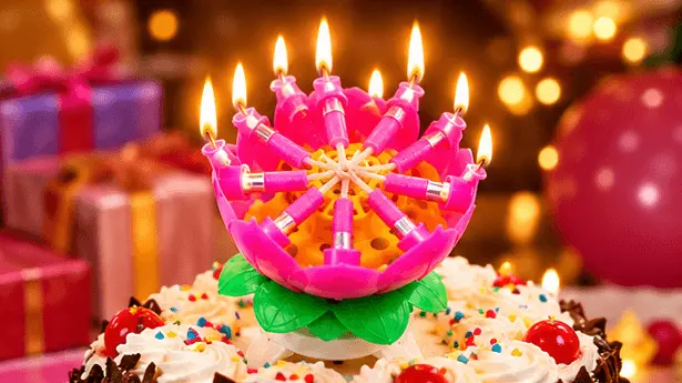 sabuj hub burning musical lotus birthday candle sabuj hub burning musical lotus birthday candle