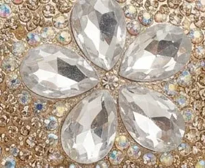 sabuj hub crystal flower embellishment closeup