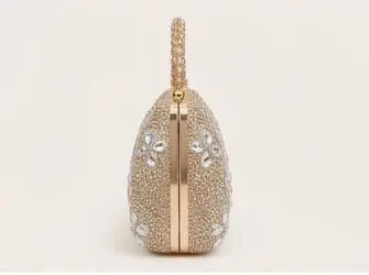 sabuj hub golden crystal clutch side profile sabuj hub golden crystal clutch side profile