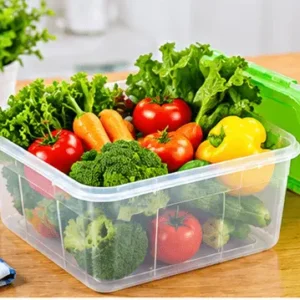 Vegetable storage container with green lid