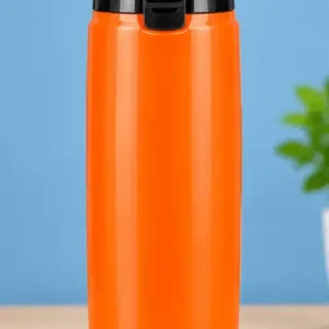 sabuj hub trendy bengal water bottle back view