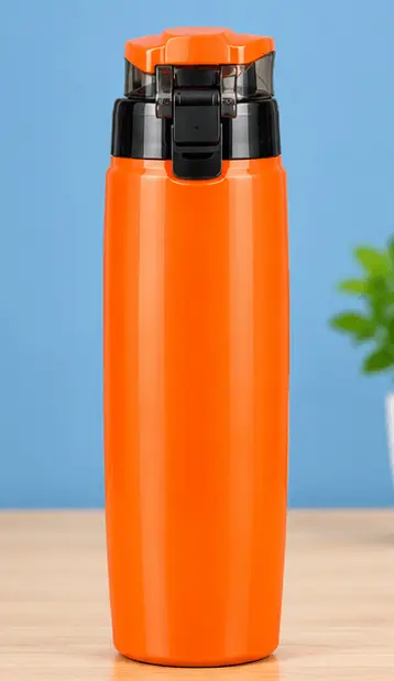 sabuj hub trendy bengal water bottle back view sabuj hub trendy bengal water bottle back view